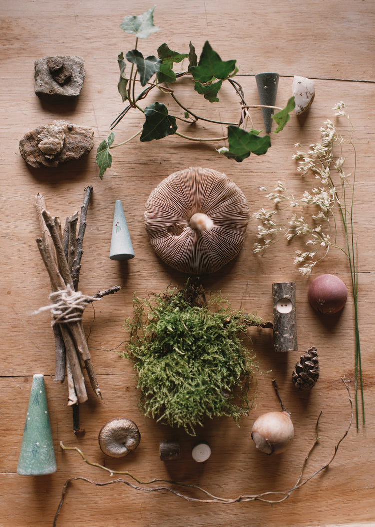 Calendario de Adviento 2025 Edición Limitada