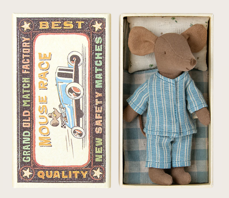 Hermano mayor ratón en caja de cerillas