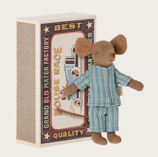 Hermano mayor ratón en caja de cerillas