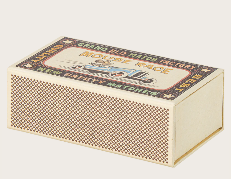 Hermano mayor ratón en caja de cerillas