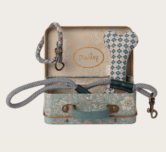 Accesorios para cachorros - Azul