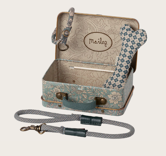 Accesorios para cachorros - Azul