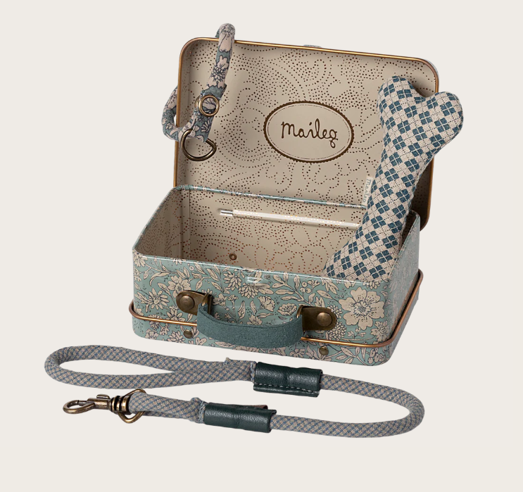 Accesorios para cachorros - Azul