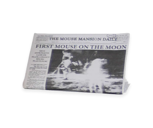 DECORACIÓN DORMITORIO/ SALÓN - LA CASA DE LOS RATONES