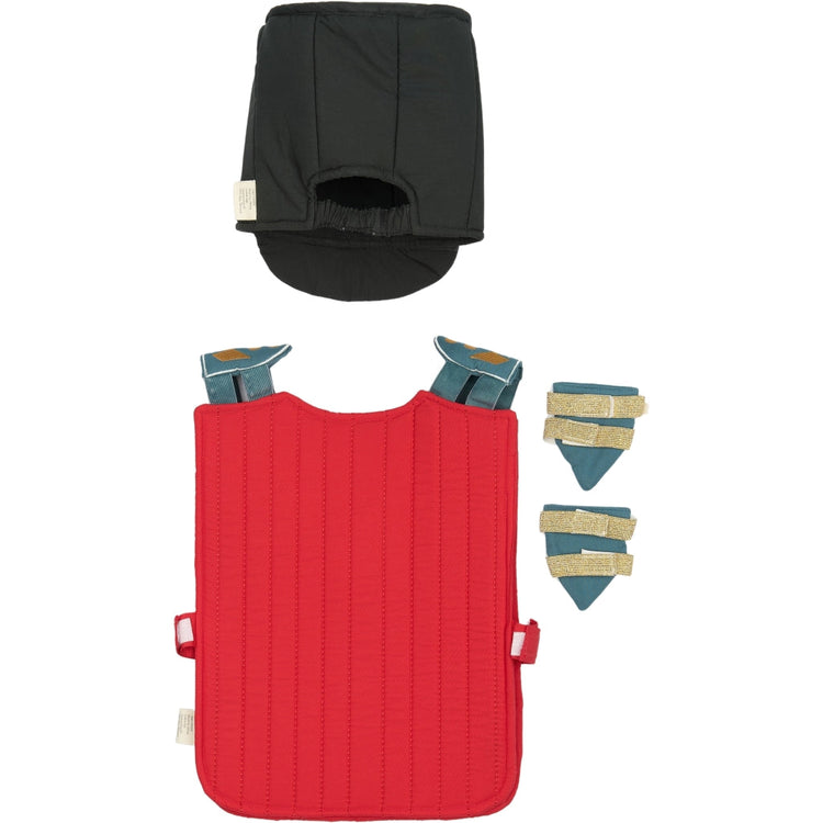 Disfraz Guardia Real