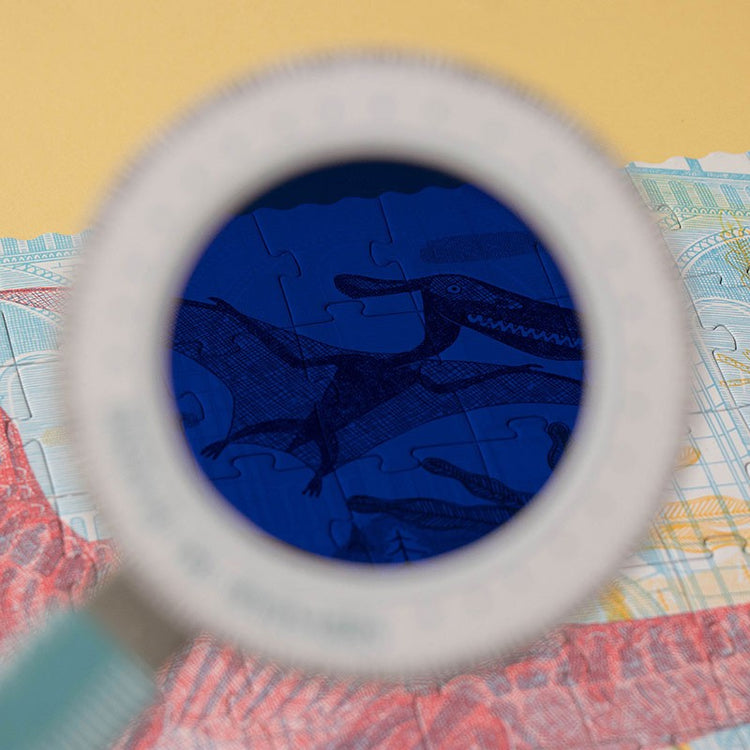 Puzzle & Glasses - Discover The Dinosaurs