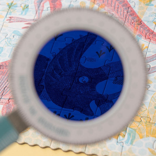 DISCOVER THE DINOSAURS PUZZLE