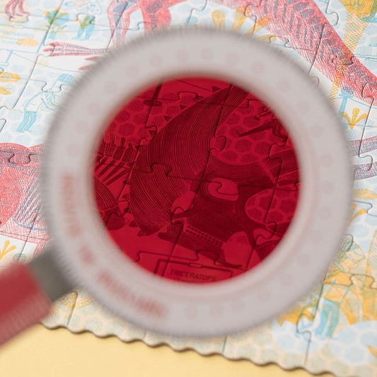 DISCOVER THE DINOSAURS PUZZLE