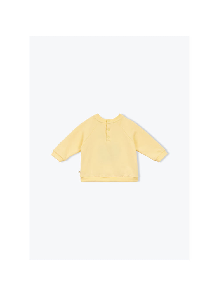 Sudadera para bebé Coconut – Arsène et les Pipelettes