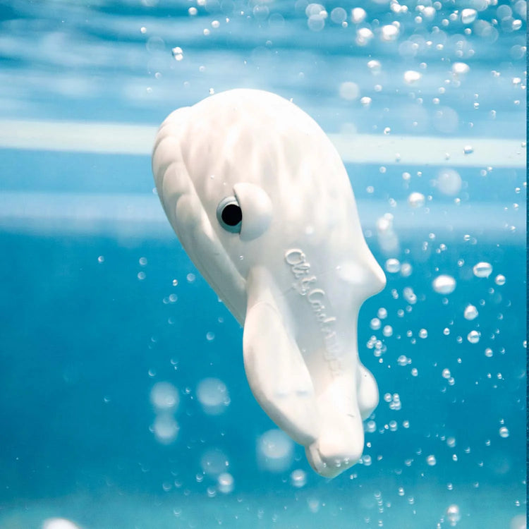 JUGUETE DE BAÑO WALTER LA BALLENA