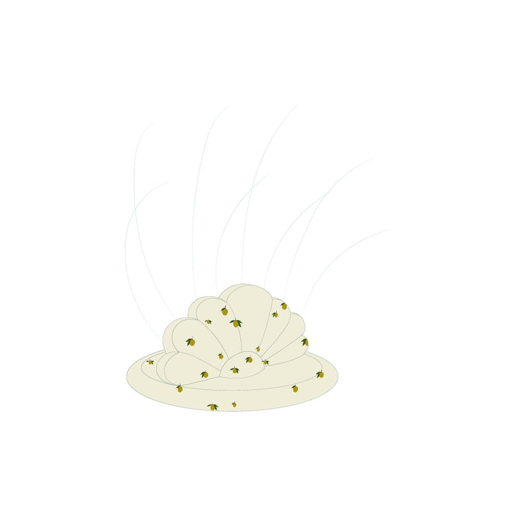ASPERSOR HINCHABLE LEMON