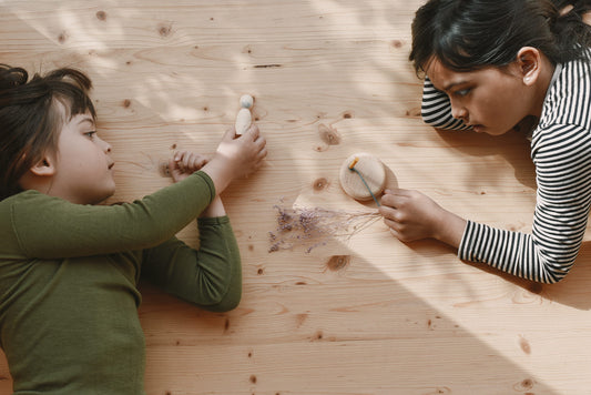 Calendario de Adviento 2025 Edición Limitada