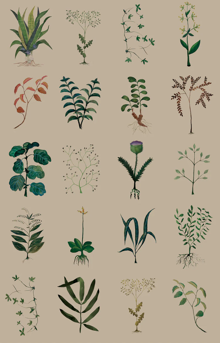 PAPEL PINTADO HERBARIUM KRAFT