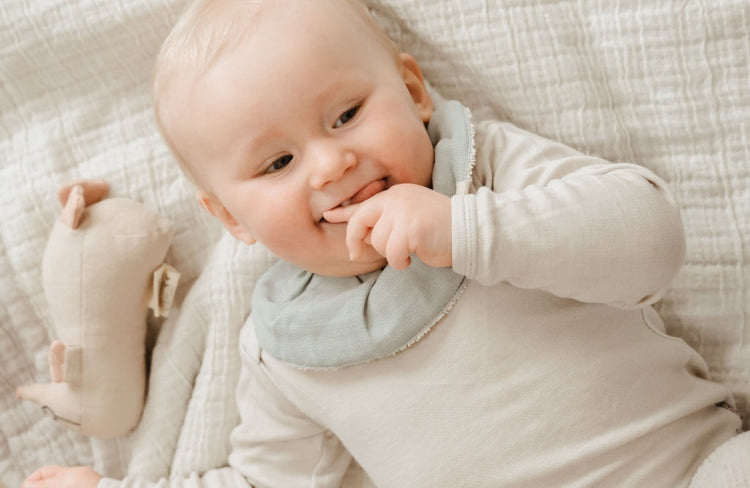 Pack 3 Baberos (varios colores)