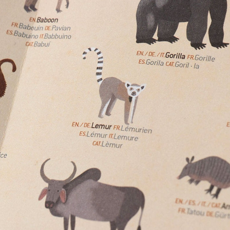 POSTER Y PEGATINAS - Animales del Mundo