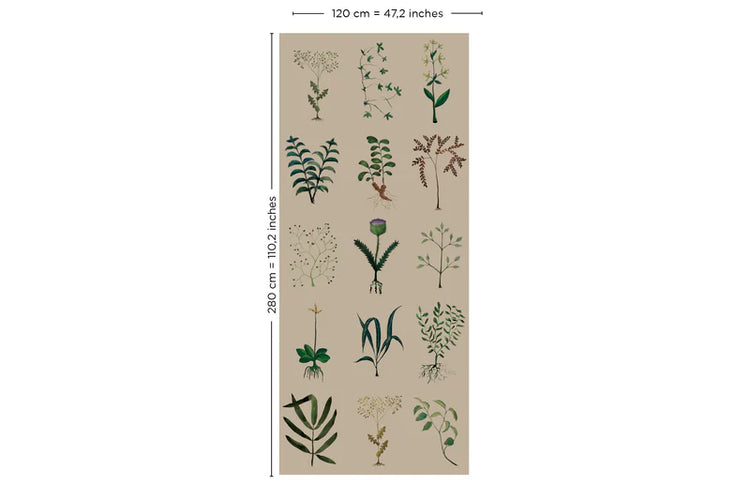 PAPEL PINTADO HERBARIUM KRAFT