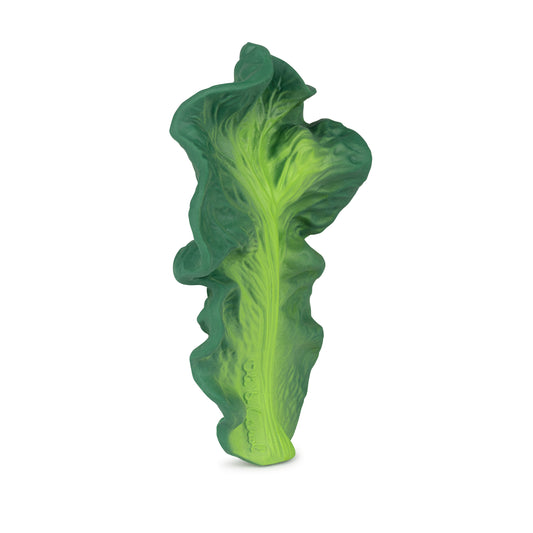 MORDEDOR KENDALL THE KALE