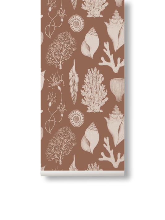 PAPEL PINTADO CONCHA TOFFEE