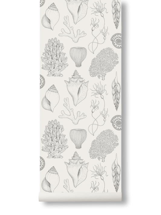 PAPEL PINTADO CONCHA OFF WHITE